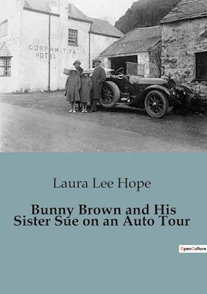 Bunny Brown and His Sister Sue on an Auto Tour