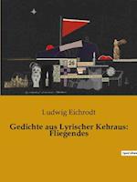 Gedichte aus Lyrischer Kehraus: Fliegendes