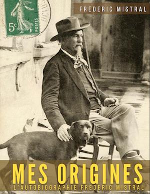 Mes origines - Mémoires et récits