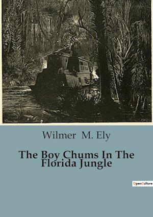 The Boy Chums In The Florida Jungle