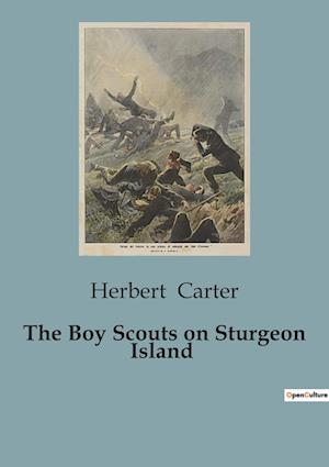 The Boy Scouts on Sturgeon Island