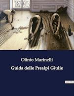 Guida delle Prealpi Giulie