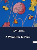 A Wanderer In Paris