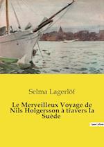 Le Merveilleux Voyage de Nils Holgersson à travers la Suède