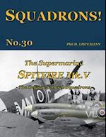 The Supermarine Spitfire Mk. V: The Belgian & Dutch Squadrons 