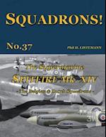 The Supermarine Spitfire Mk XIV: The Belgian and Dutch Squadrons 