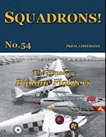The Hawker Biplane Fighters 