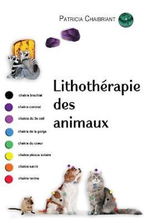 Lithotherapie Des Animaux