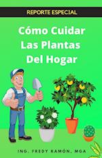 Cómo Cuidar Las Plantas Del Hogar