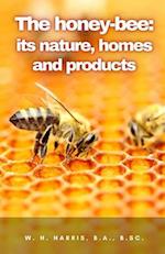 The honey-bee: its nature, homes and products 