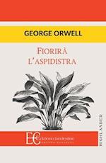 Fiorira l'Aspidistra