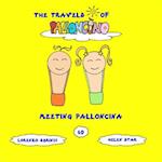 Meeting Palloncina 