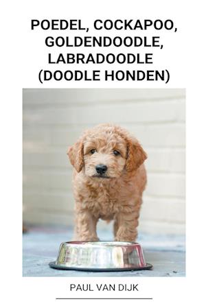 Poedel, Cockapoo, Goldendoodle, Labradoodle  (Doodle Honden)