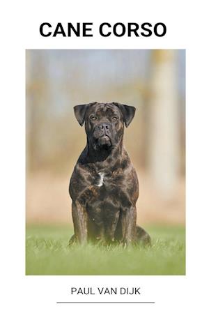 Cane corso