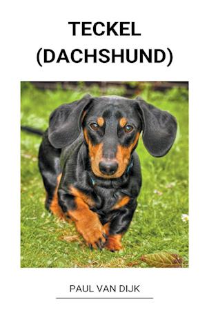 Teckel (dachshund)