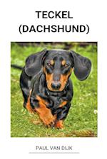 Teckel (dachshund)