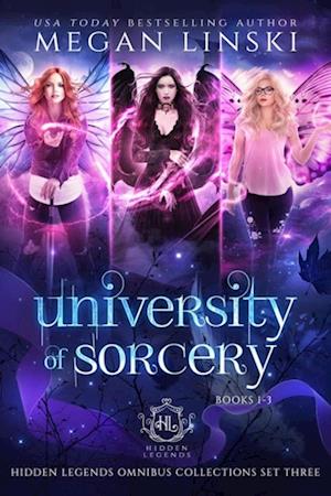 University of Sorcery, Books 1-3