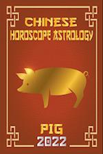 Pig Chinese Horoscope & Astrology 2022 