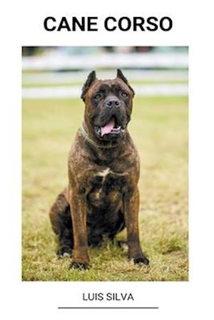 Cane Corso