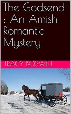 Godsend : An Amish Romantic Mystery