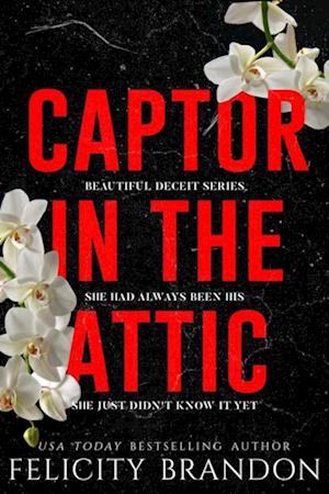 Captor In The Attic