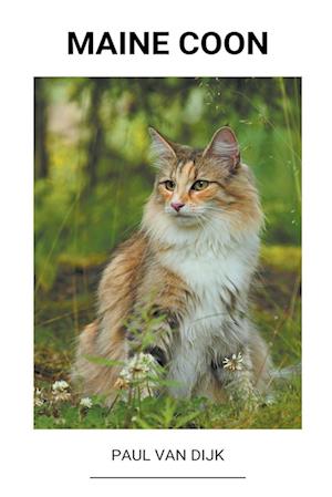 Maine Coon