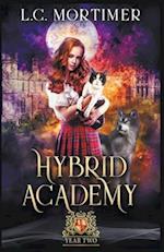 Hybrid Academy