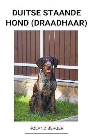 Duitse staande hond  (draadhaar)