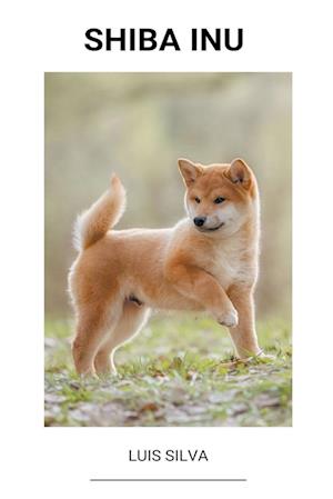 Shiba Inu