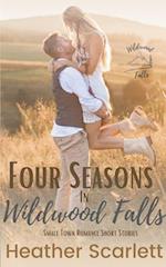 Four Seasons in Wildwood Falls 