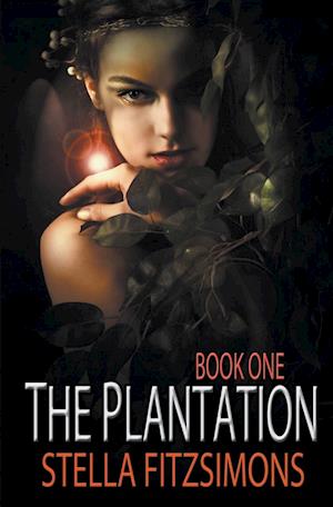 The Plantation