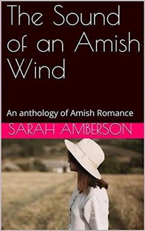 Sound of an Amish Wind