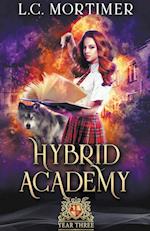 Hybrid Academy