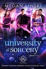 University of Sorcery, Books 4-6