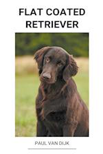 Flat Coated Retriever