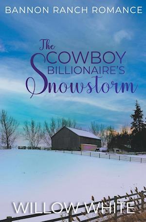 The Cowboy Billionaire's Snowstorm