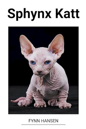 Sphynx Katt