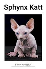 Sphynx Katt