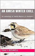 Amish Winter Chill