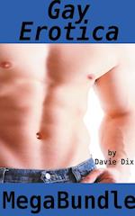 Gay Erotica Mega Bundle 