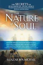 The Secrets of Humankind by Divine Design, the Gateway to Mindfulness and Self-awareness (Spiritual Warfare Series Book 2); Nature of Soul 