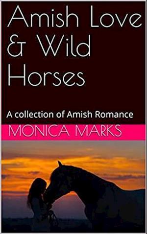 Amish Love & Wild Horses