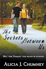 The Secrets Between Us 