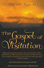 Gospel of Visitation 