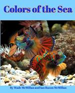 Colors of the Sea 