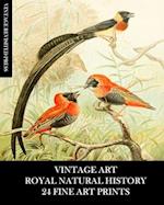 Vintage Art: Royal Natural History: 24 Fine Art Prints: Animal Ephemera for Collages, Decoupage, Framing, Junk Journals 