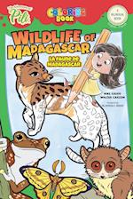 Wildlife of Madagascar. The Adventures of Pili Coloring Book. English-French for Kids Ages 2+: The Adventures of Pili 