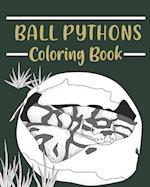 Ball Pythons Coloring Book: Coloring Books for Adults, Wildlife Coloring Pages, Gifts for Snake Lovers 