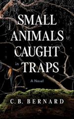 Small Animals Caught in Traps