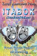 ITABOK (IttaBeeOhKay): From Brain Tumor to Healing